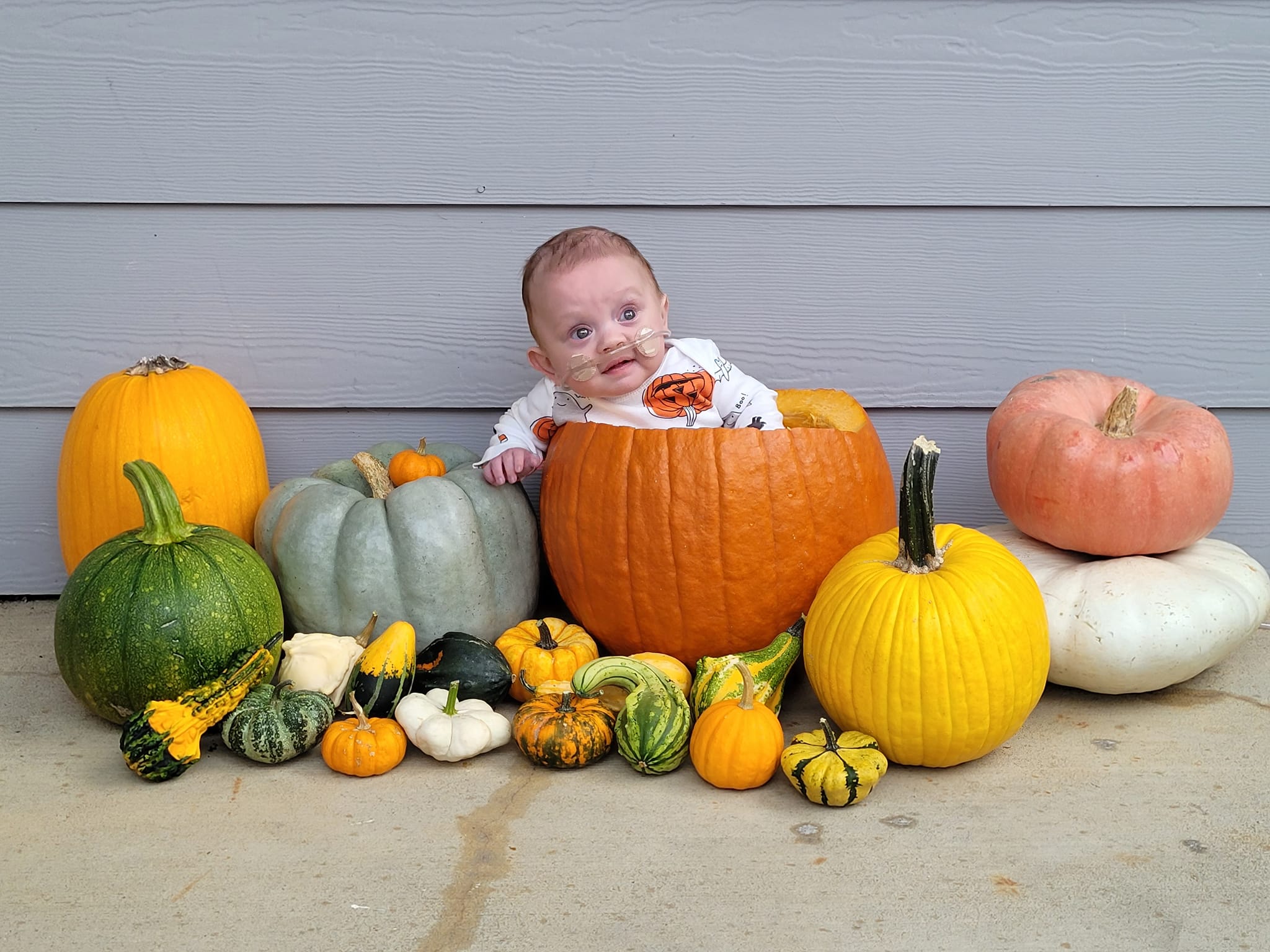 Baby sitting inside a decorative pumpkin